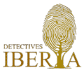 detectivesiberia.es